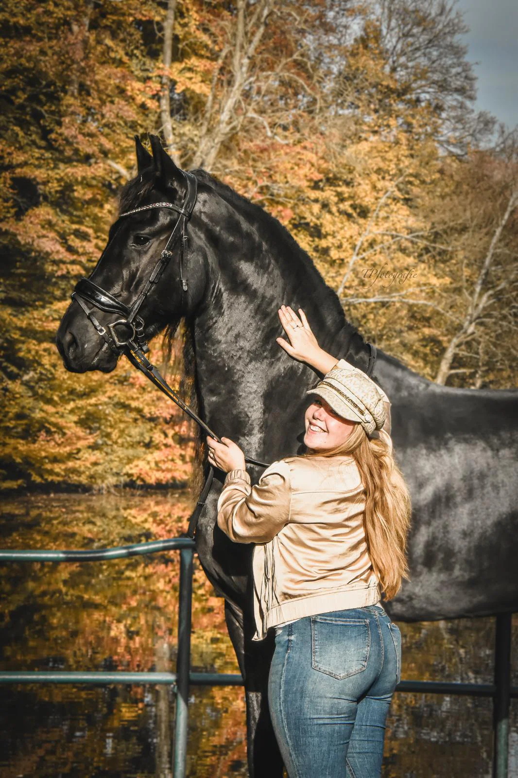 R&T Horse Transport