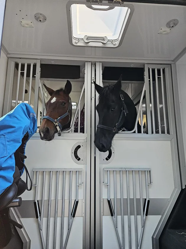 R&T Horse Transport - Bos en trainingsritten